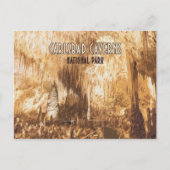 Carlsbad Caverns Nationaal Park New Mexico Briefkaart (Voorkant)