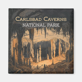 Carlsbad Caverns Nationaal Park New Mexico Magneet