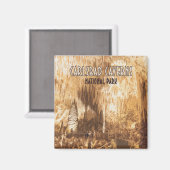 Carlsbad Caverns Nationaal Park New Mexico Magneet (Voorkant / Achterkant)