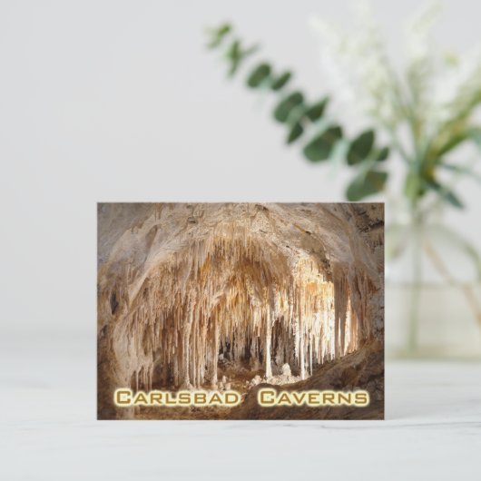 Carlsbad Caverns National Park, New Mexico Briefkaart (Staand voorkant)