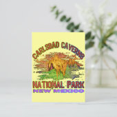 Carlsbad Caverns National Park, New Mexico Briefkaart (Staand voorkant)