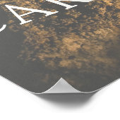 Carlsbad Caverns NP, NM Poster (Hoek)