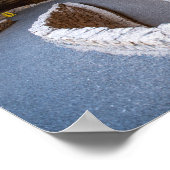 Carlsbad Caverns Poster (Hoek)