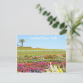 Carlsbad Flower Fields Briefkaart (Staand voorkant)