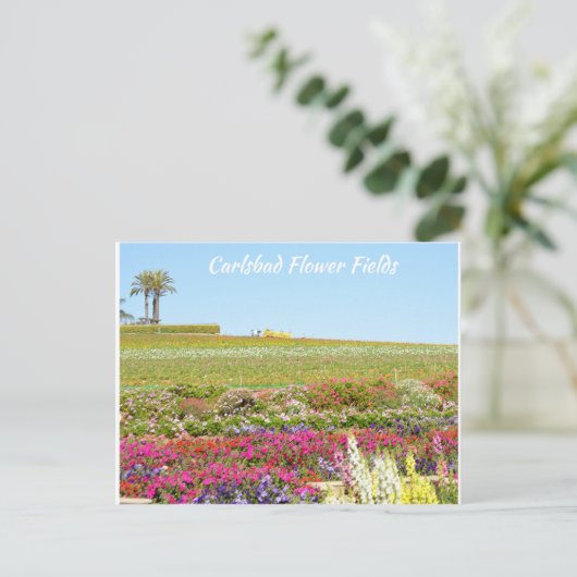 Carlsbad Flower Fields Briefkaart (Staand voorkant)