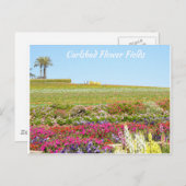 Carlsbad Flower Fields Briefkaart (Voorkant / Achterkant)