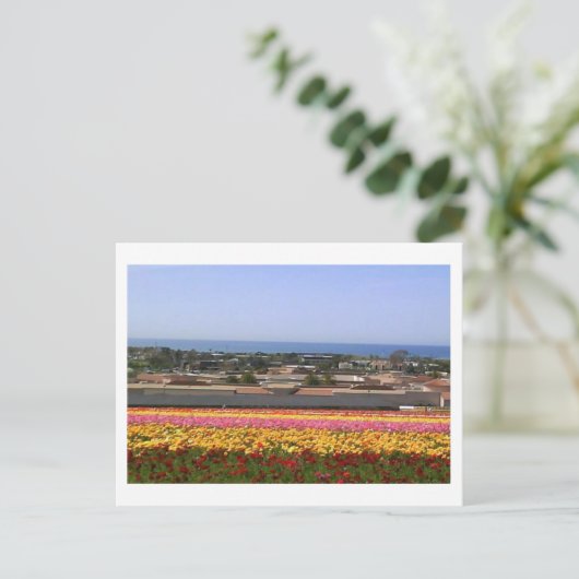 Carlsbad Flower Fields Briefkaart (Staand voorkant)