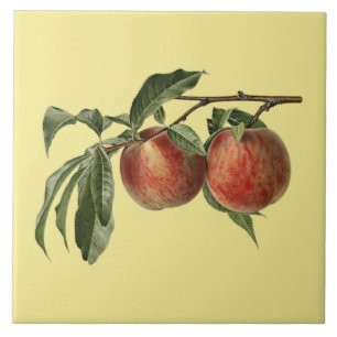 Carman Peaches ~Botanische Tile ~Kitchen ~Elke kle Tegeltje