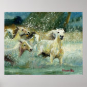 Carmargue Horse Portrait Poster (Voorkant)