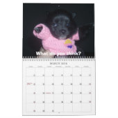 Carma's Pommeren Kalender (Mar 2026)