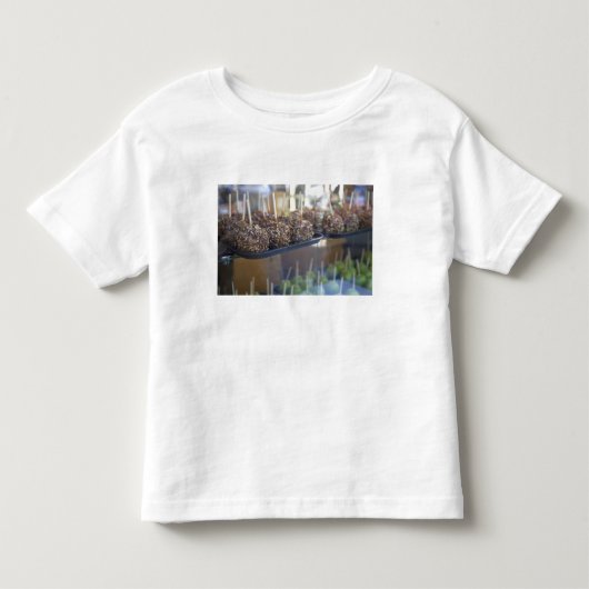 Carmel appels, Pioneer Square, Seattle, Kinder Shirts (Voorkant)
