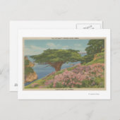 Carmel Bay, CA - Uitzicht van de "oude veteraan"-b Briefkaart (Voorkant / Achterkant)
