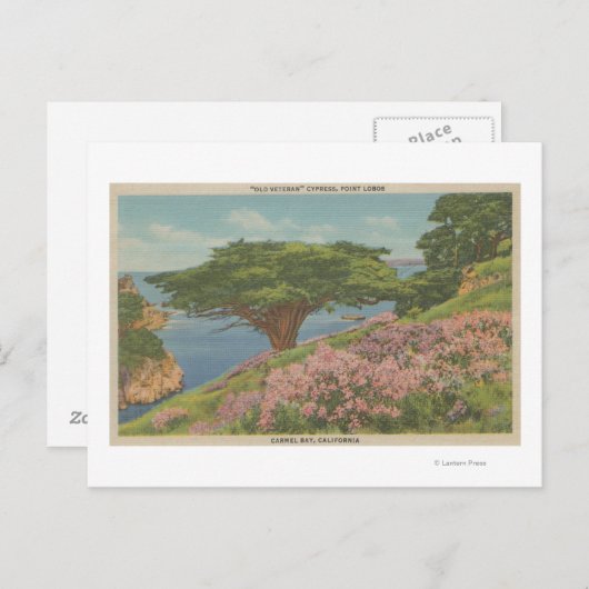 Carmel Bay, CA - Uitzicht van de "oude veteraan"-b Briefkaart (Voorkant / Achterkant)