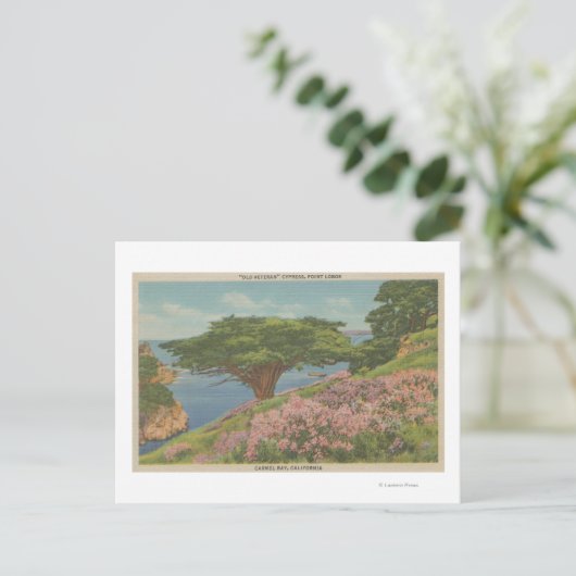Carmel Bay, CA - Uitzicht van de "oude veteraan"-b Briefkaart (Staand voorkant)