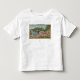 Carmel Bay, CA - Uitzicht van de "oude veteraan"-b Kinder Shirts