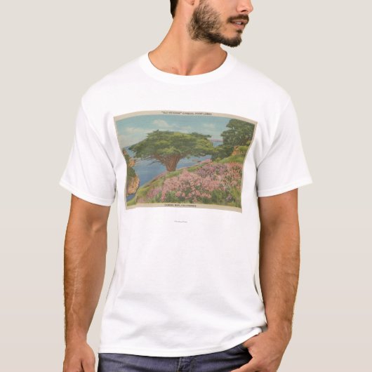 Carmel Bay, CA - Uitzicht van de "oude veteraan"-b T-shirt (Voorkant)