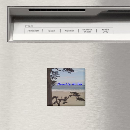 Carmel-by-the-Zee Magneet (Insitu (Vaatwasser))