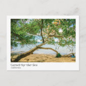 Carmel-by-the-Zee, Monterey County, Californië Briefkaart (Voorkant)