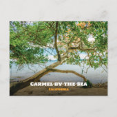 Carmel-by-the-Zee, Monterey County, Californië Briefkaart (Voorkant)