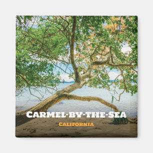 Carmel-by-the-Zee, Monterey County, Californië Magneet