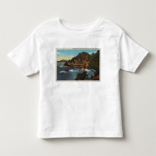 Carmel, CA - Rugged Coast on Point Lobos Kinder Shirts (Voorkant)