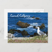 Carmel California Briefkaart (Voorkant / Achterkant)