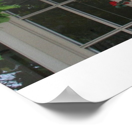 Carmel in bloei poster (Hoek)