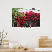 Carmel in bloei poster (Keuken)