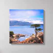 Carmel Lone Tree Streted Canvas afdrukken