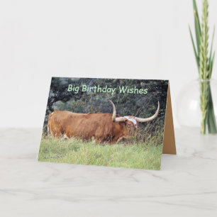 Carmel longhorn-past om het even welke gelegenheid kaart