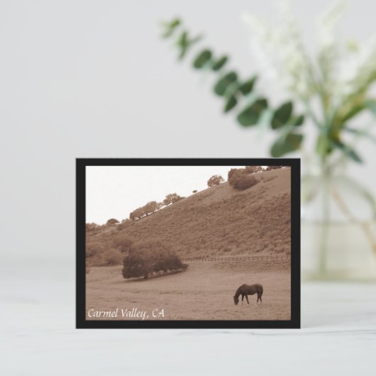 Carmel Valley Briefkaart (Staand voorkant)