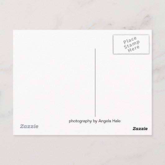 Carmel Valley Briefkaart (Achterkant)