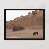 Carmel Valley Briefkaart (Voorkant)