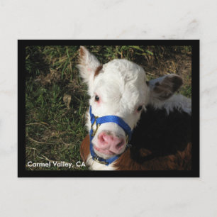 Carmel Valley, CA-Briefkaart Briefkaart