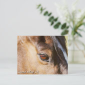 Carmel Valley Horse Eye Briefkaart (Staand voorkant)