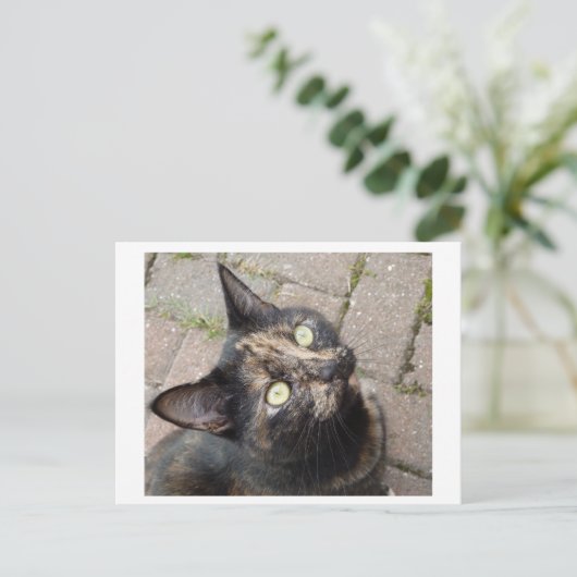 Carmen Briefkaart (Staand voorkant)