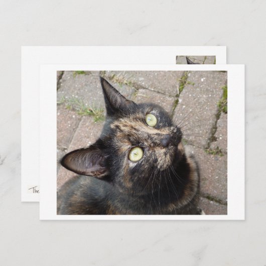 Carmen Briefkaart (Voorkant / Achterkant)