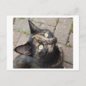 Carmen Briefkaart (Voorkant)