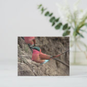 Carmine Bee-Eater Briefkaart (Staand voorkant)