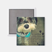 Carmine Winston III- "In een perfecte wereld." Mag Magneet (Voorkant / Achterkant)