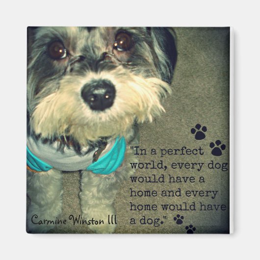 Carmine Winston III- "In een perfecte wereld." Mag Magneet (Voorkant)