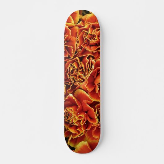 CarnanenSkateboard Skateboard (Voorkant)