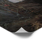 CarnannLily Roos Sargent Print (Hoek)