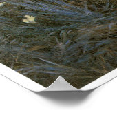 Carnatie, Lily, Lily, Roos, John Singer Sargent Poster (Hoek)