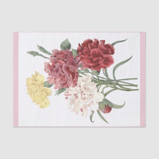 Carnaties Bouquet 15-inch x 10-inch Tissue Paper Tissuepapier (Voorkant)