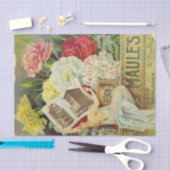 Carnaties van de  zaadcatalogus Maule, 1900 Tissuepapier (Craft)