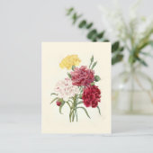 Carnaties van Pierre-Joseph Redouté Briefkaart (Staand voorkant)