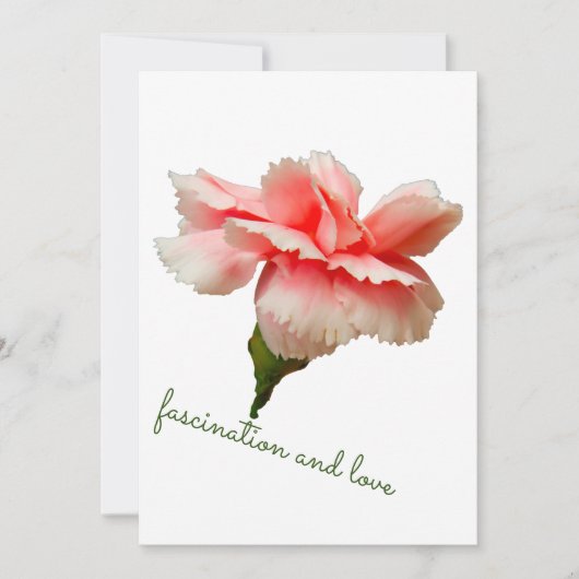 Carnation flower. Fascination and love. Kaart (Voorkant)