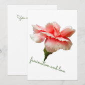 Carnation flower. Fascination and love. Kaart (Voorkant / Achterkant)