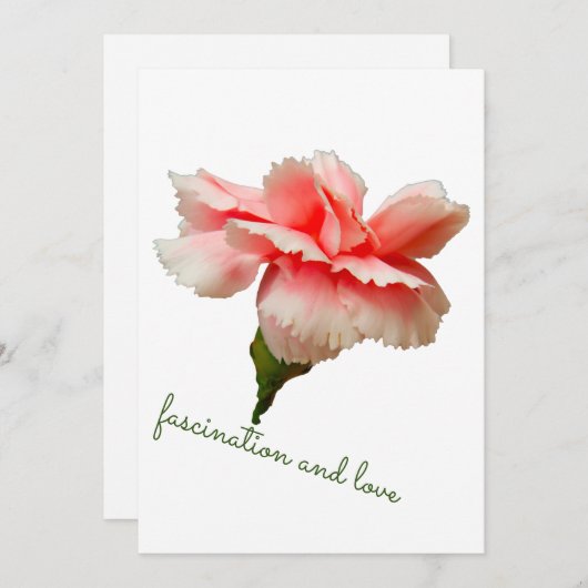 Carnation flower. Fascination and love. Kaart (Voorkant / Achterkant)